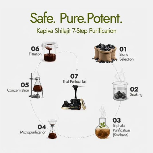 Kapiva Himalayan Shilajit | Pure Himalayan Energy & Stamina Support