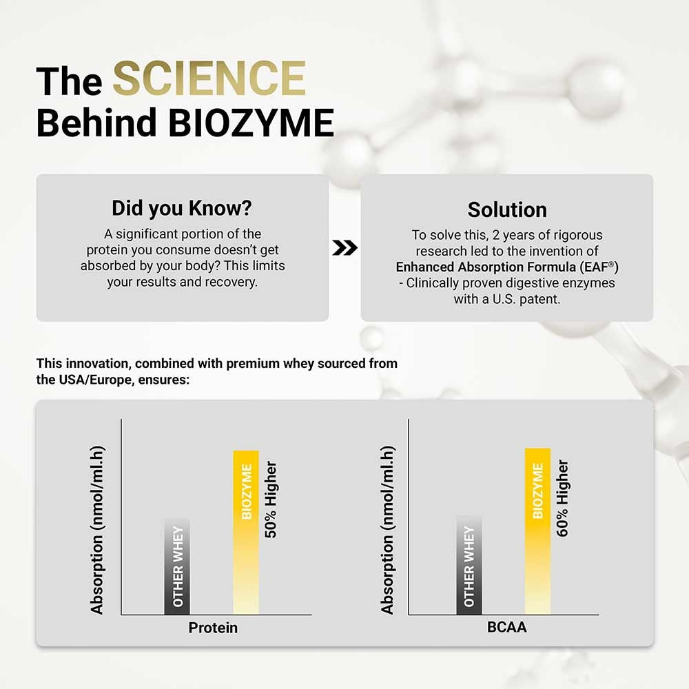 Muscle Blaze Biozyme Performance Whey Chocolate Hazelnut