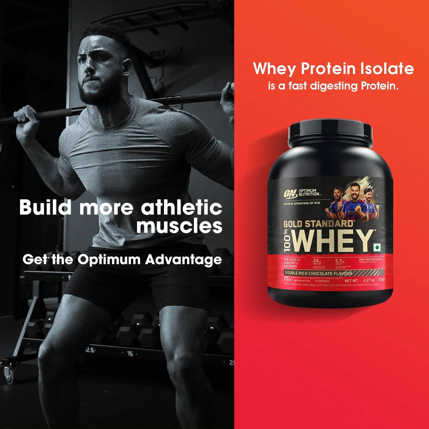 Optimum Nutrition Gold Standard 100% Whey Protein Powder - Double-Rich-chocolate