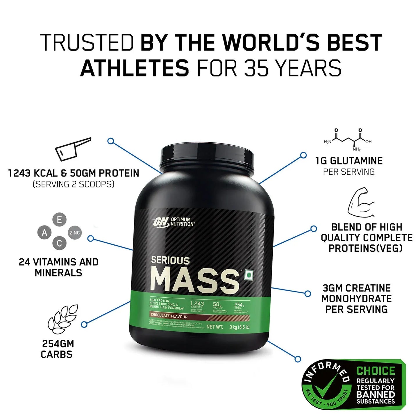 Optimum Nutrition Serious Mass Weight Gainer – Chocolate Flavour